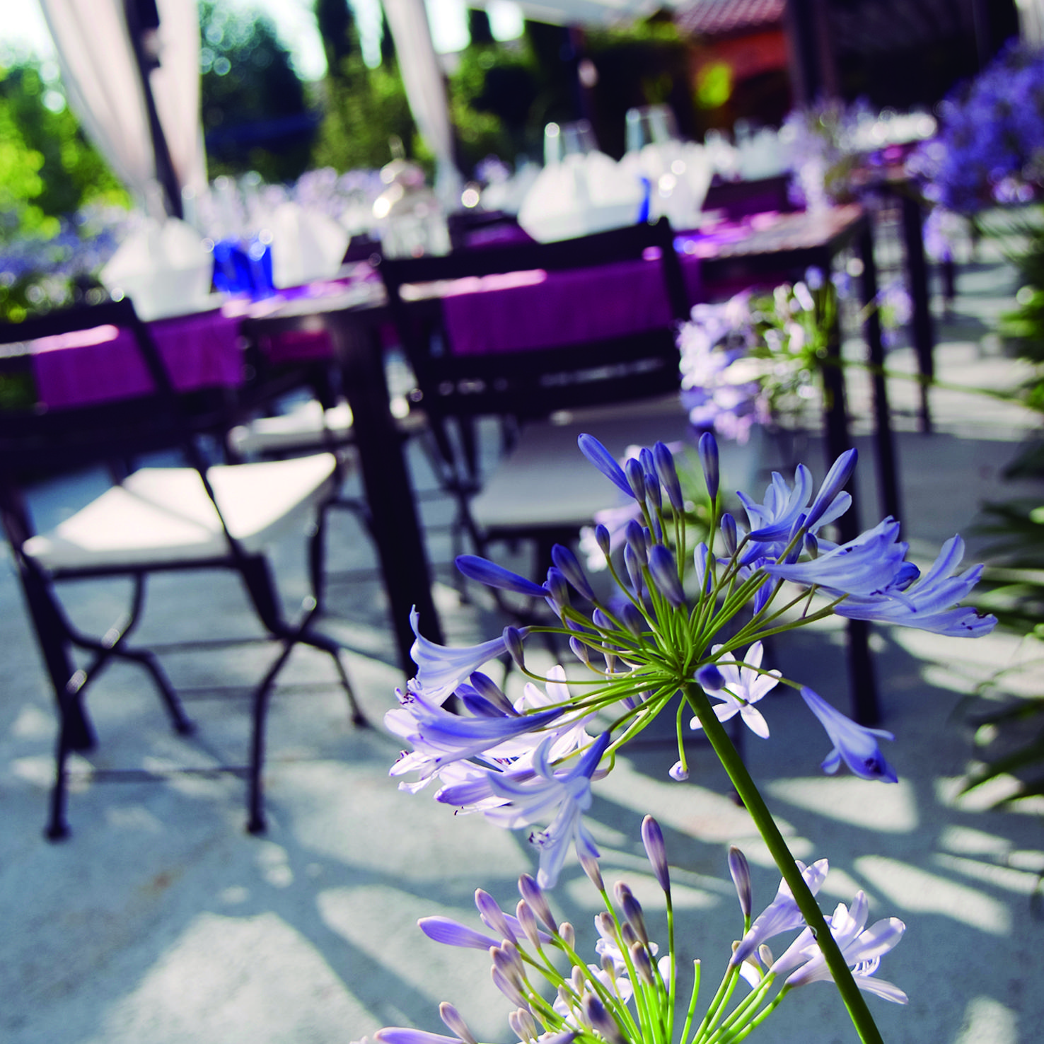 Hotel Aatu - Adults Only Peratallada Exterior photo